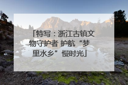 特写：浙江古镇文物守护者 护航“梦里水乡”慢时光