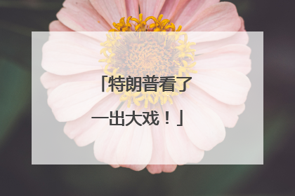 特朗普看了一出大戏！