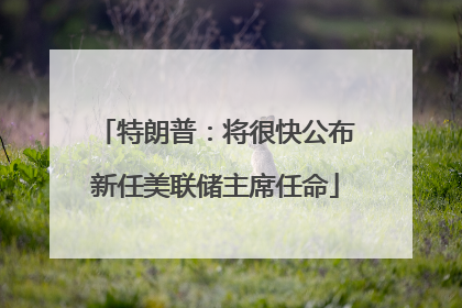 特朗普：将很快公布新任美联储主席任命