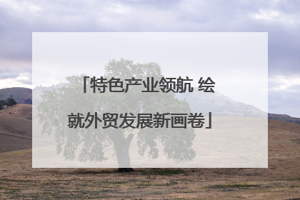 特色产业领航 绘就外贸发展新画卷