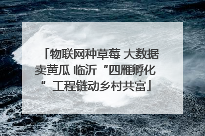 物联网种草莓 大数据卖黄瓜 临沂“四雁孵化”工程链动乡村共富