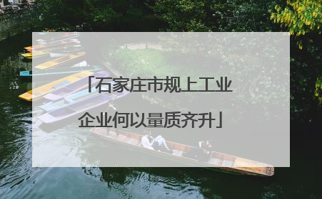 石家庄市规上工业企业何以量质齐升