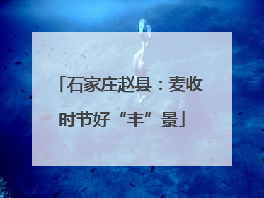 石家庄赵县：麦收时节好“丰”景