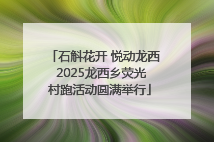 石斛花开 悦动龙西 2025龙西乡荧光村跑活动圆满举行