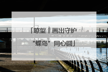 瞭望丨画出守护“蝶岛”同心圆