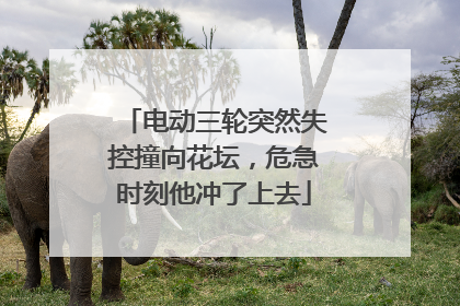电动三轮突然失控撞向花坛，危急时刻他冲了上去