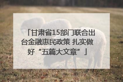 甘肃省15部门联合出台金融惠民政策 扎实做好“五篇大文章”