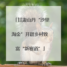 甘肃山丹“沙里淘金”开辟乡村致富“新赛道”