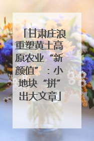 甘肃庄浪重塑黄土高原农业“新颜值”：小地块“拼”出大文章