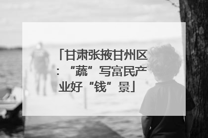 甘肃张掖甘州区：“蔬”写富民产业好“钱”景