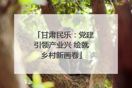 甘肃民乐：党建引领产业兴 绘就乡村新画卷