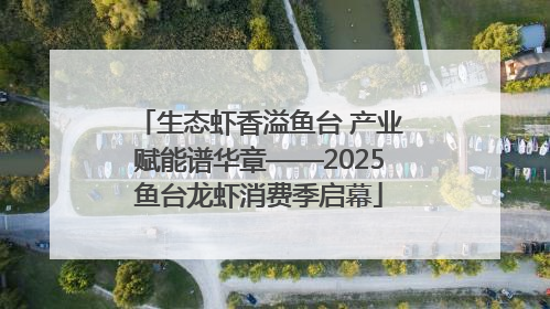 生态虾香溢鱼台 产业赋能谱华章——2025鱼台龙虾消费季启幕