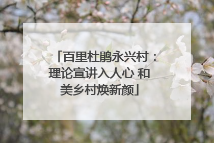 百里杜鹃永兴村：理论宣讲入人心 和美乡村焕新颜