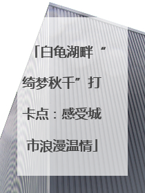 白龟湖畔“绮梦秋千”打卡点：感受城市浪漫温情