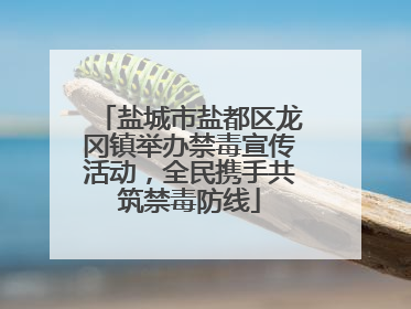 盐城市盐都区龙冈镇举办禁毒宣传活动，全民携手共筑禁毒防线