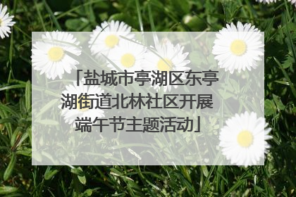 盐城市亭湖区东亭湖街道北林社区开展端午节主题活动