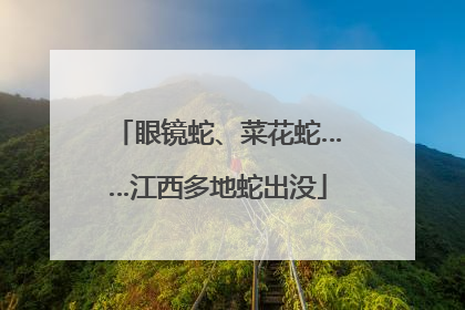 眼镜蛇、菜花蛇……江西多地蛇出没