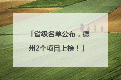 省级名单公布，德州2个项目上榜！