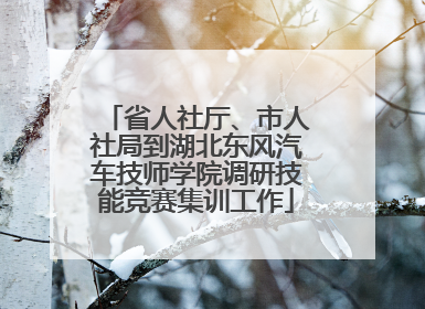 省人社厅、市人社局到湖北东风汽车技师学院调研技能竞赛集训工作