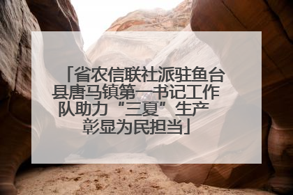 省农信联社派驻鱼台县唐马镇第一书记工作队助力“三夏”生产 彰显为民担当