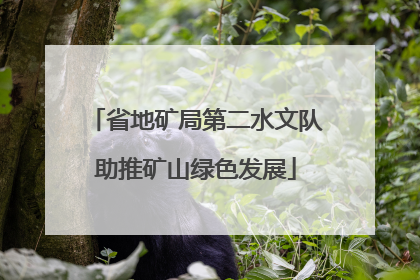 省地矿局第二水文队助推矿山绿色发展