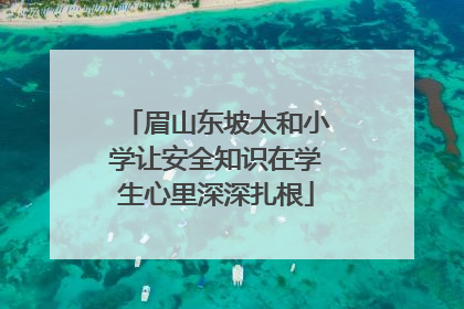 眉山东坡太和小学让安全知识在学生心里深深扎根