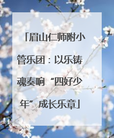 眉山仁师附小管乐团：以乐铸魂奏响“四好少年”成长乐章