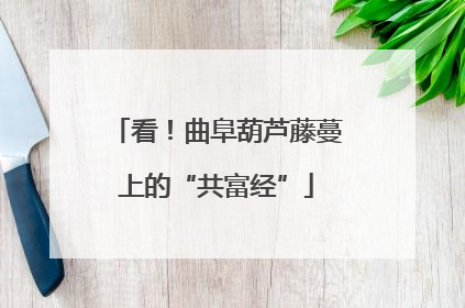 看！曲阜葫芦藤蔓上的“共富经”