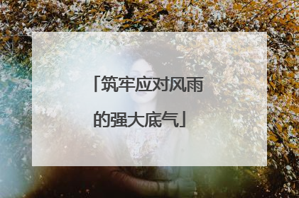 筑牢应对风雨的强大底气