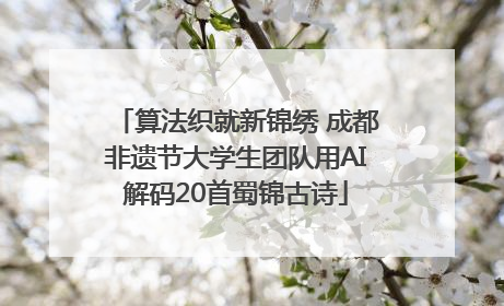 算法织就新锦绣 成都非遗节大学生团队用AI解码20首蜀锦古诗