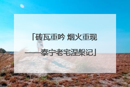 砖瓦重吟 烟火重现——泰宁老宅涅槃记