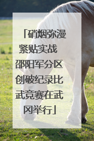 硝烟弥漫紧贴实战 邵阳军分区创破纪录比武竞赛在武冈举行