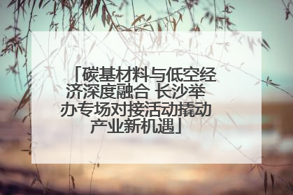 碳基材料与低空经济深度融合 长沙举办专场对接活动撬动产业新机遇