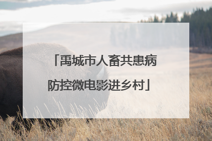禹城市人畜共患病防控微电影进乡村