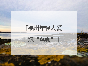 福州年轻人爱上泡“鸟咖”