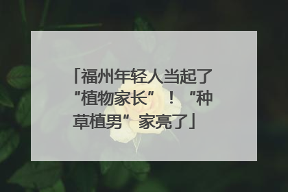 福州年轻人当起了“植物家长”！“种草植男”家亮了