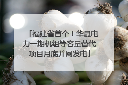 福建省首个！华夏电力一期机组等容量替代项目月底并网发电