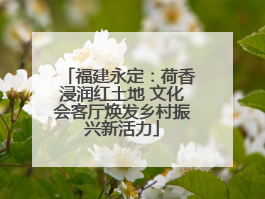 福建永定：荷香浸润红土地 文化会客厅焕发乡村振兴新活力