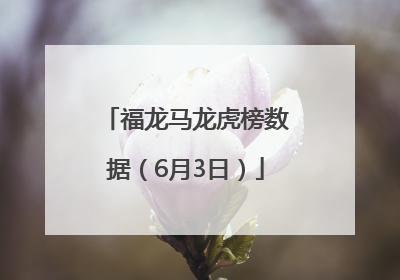 福龙马龙虎榜数据（6月3日）