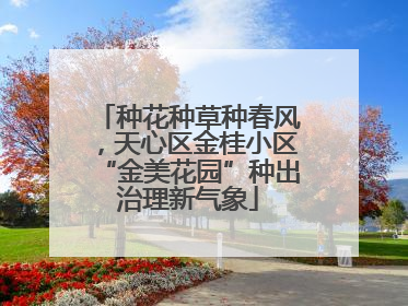 种花种草种春风，天心区金桂小区“金美花园”种出治理新气象