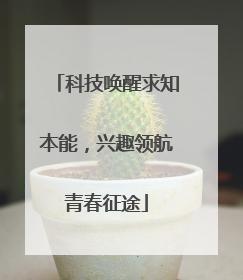 科技唤醒求知本能，兴趣领航青春征途