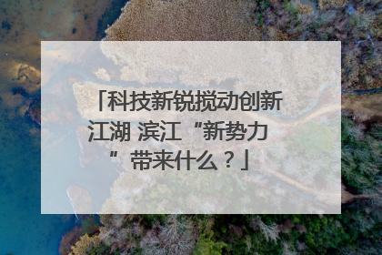 科技新锐搅动创新江湖 滨江“新势力”带来什么？