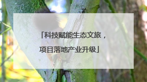 科技赋能生态文旅，项目落地产业升级