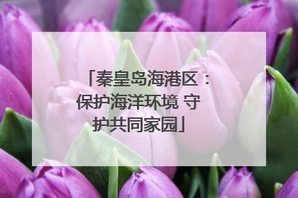 秦皇岛海港区：保护海洋环境 守护共同家园