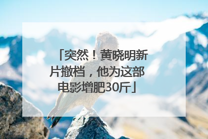 突然！黄晓明新片撤档，他为这部电影增肥30斤