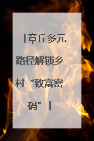 章丘多元路径解锁乡村“致富密码”