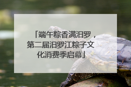 端午粽香满汨罗，第二届汨罗江粽子文化消费季启幕