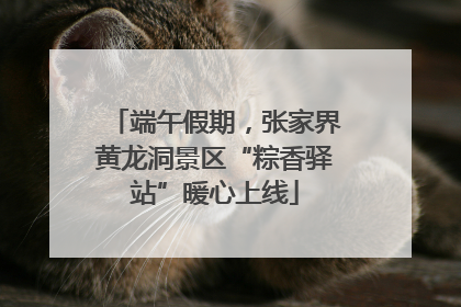 端午假期，张家界黄龙洞景区“粽香驿站”暖心上线