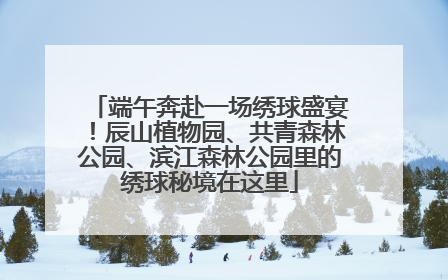 端午奔赴一场绣球盛宴！辰山植物园、共青森林公园、滨江森林公园里的绣球秘境在这里