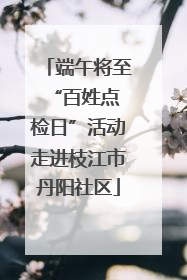 端午将至 “百姓点检日”活动走进枝江市丹阳社区